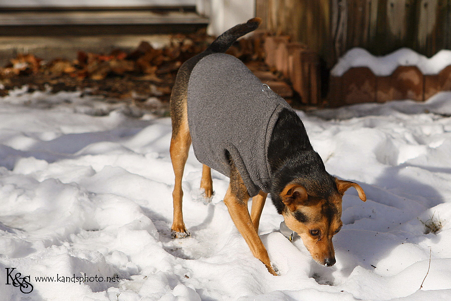 dallas-christmas-2012-snow004 dallas-christmas-2012-snow004